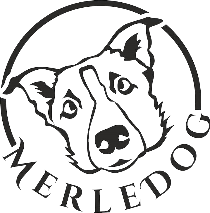 b2b.MerleDog